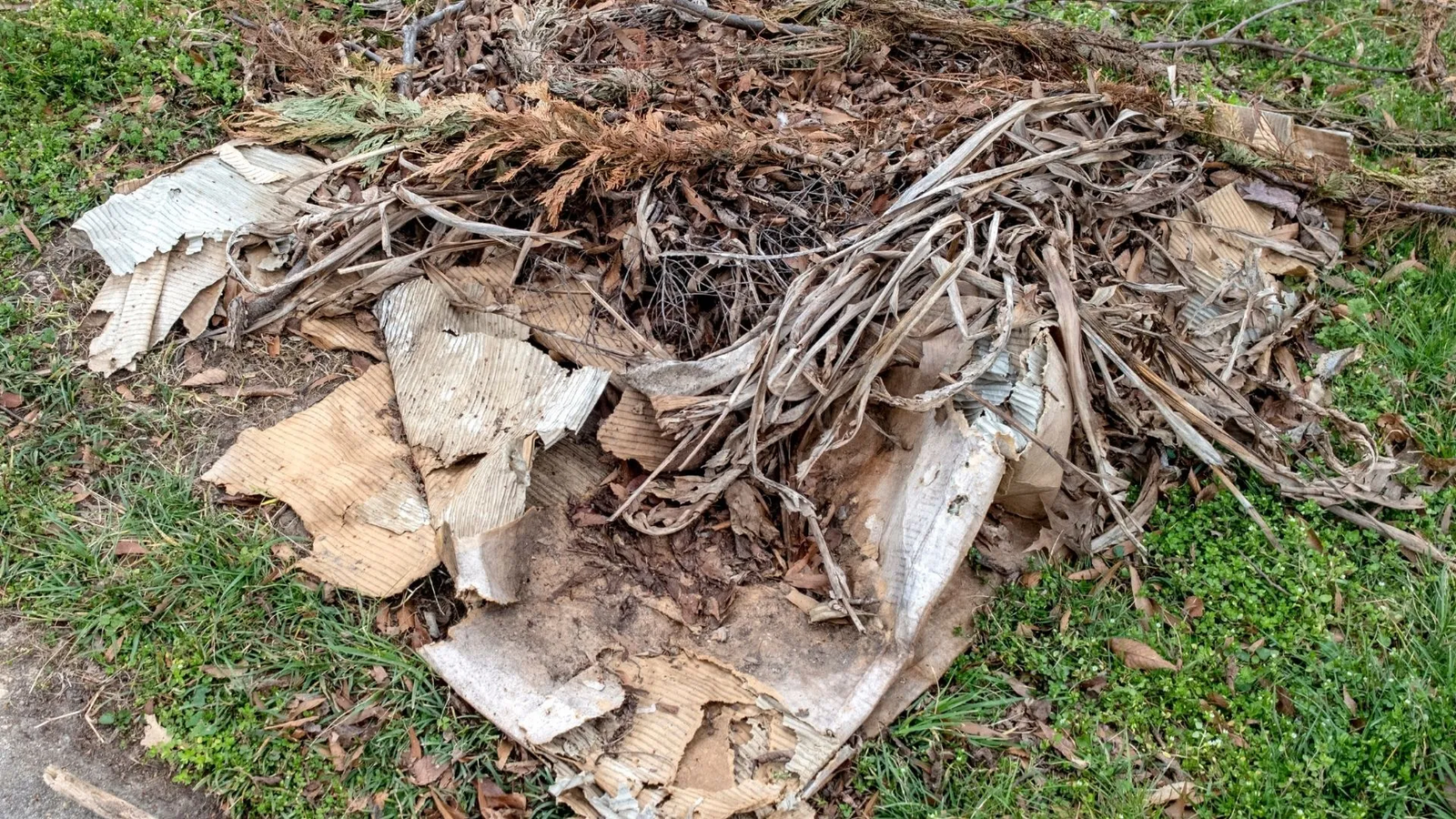 2-3c21056e-2880w (1)